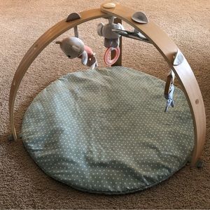 Ingenuity Baby/Infant Play/Activity Gym
